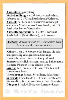 Preview: Broussonetia papyrifera, 50-500 Samen
